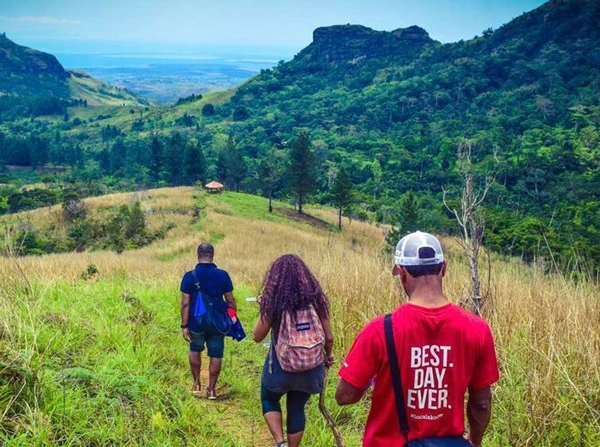 Community Connection